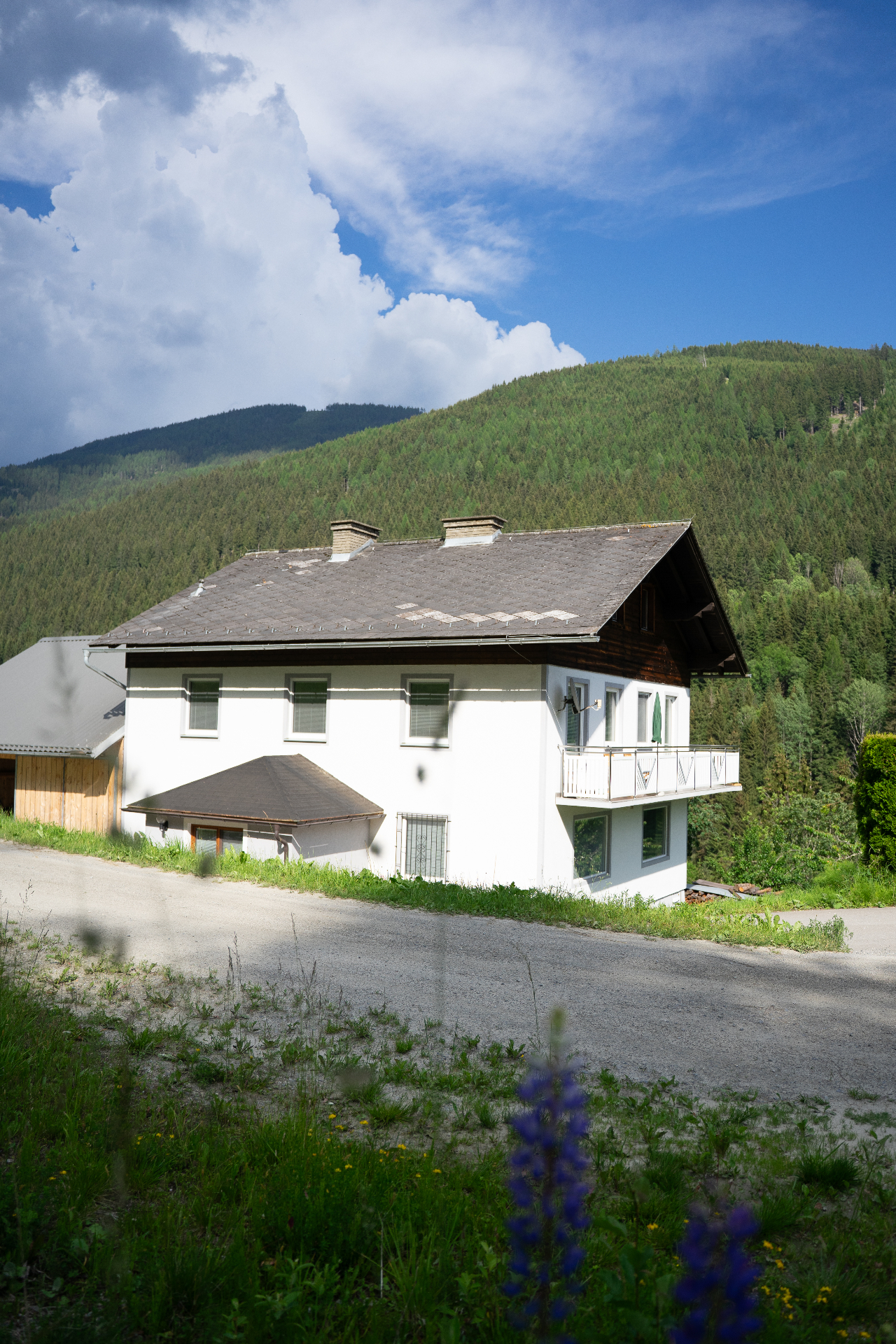 Alpines Chalet auf grüner Almwiese